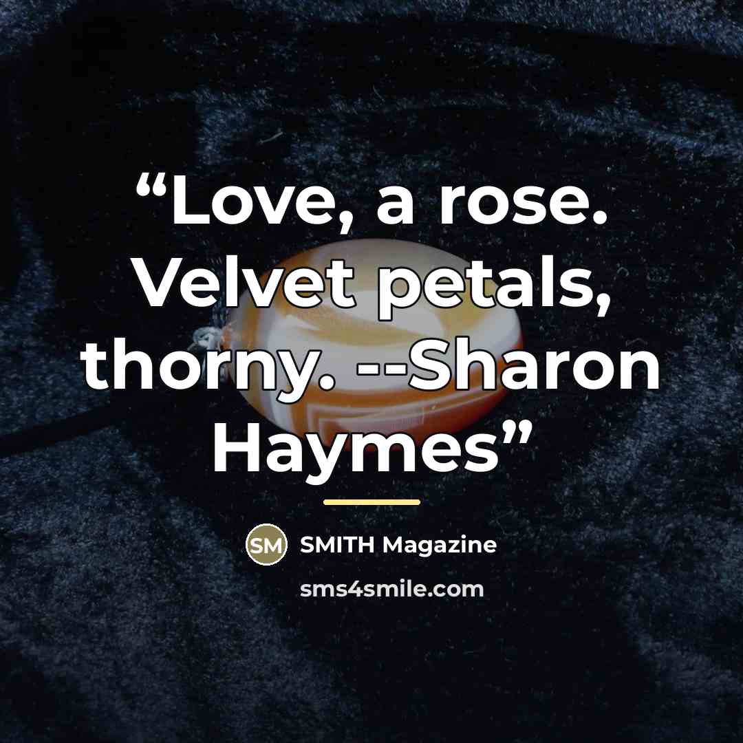 “Love, a rose. Velvet petals, thorny. --Sharon Haymes” quote by SMITH Magazine