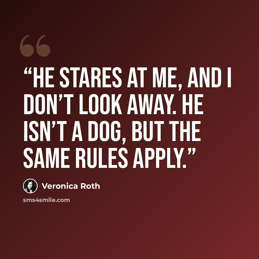 “He stares at me, and I don’t look away. He isn’t a dog, but the same rules apply.” quote by Veronica Roth
