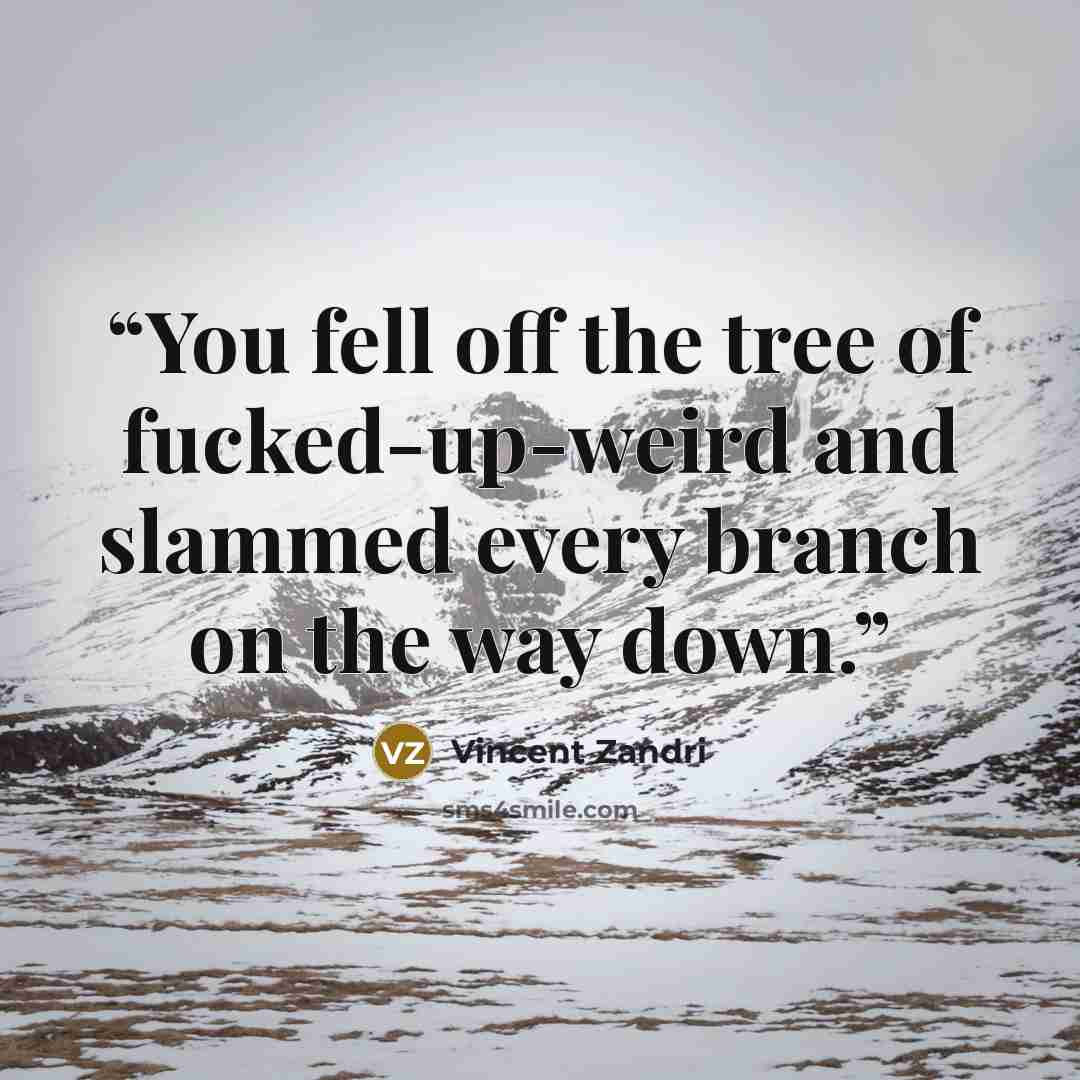 “You fell off the tree of fucked-up-weird and slammed every branch on the way down.” quote by Vincent Zandri