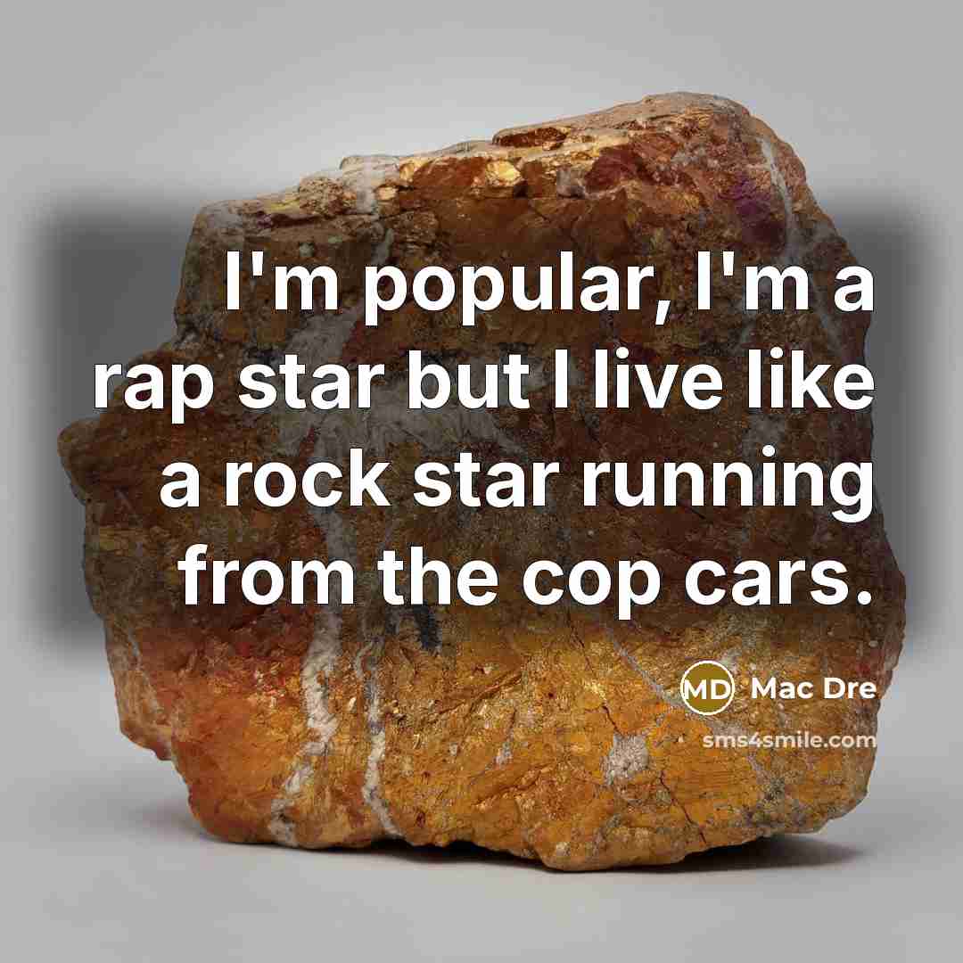 “I'm popular, I'm a rap star but I live like a rock star running from the cop cars.” quote by Mac Dre