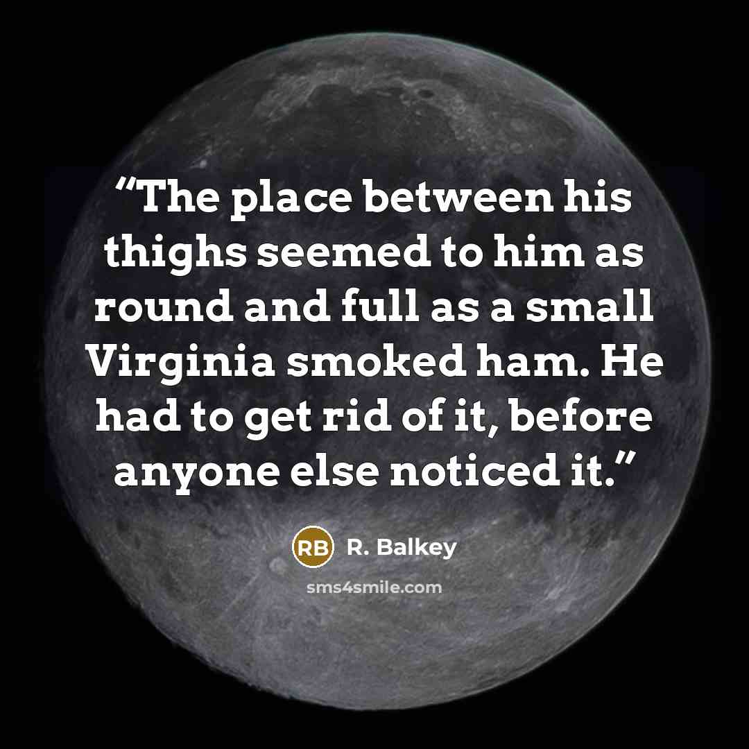 “The place between his thighs seemed to him as round and full as a small Virginia smoked ham. He had to get rid of it, before anyone else noticed it.” quote by R. Balkey