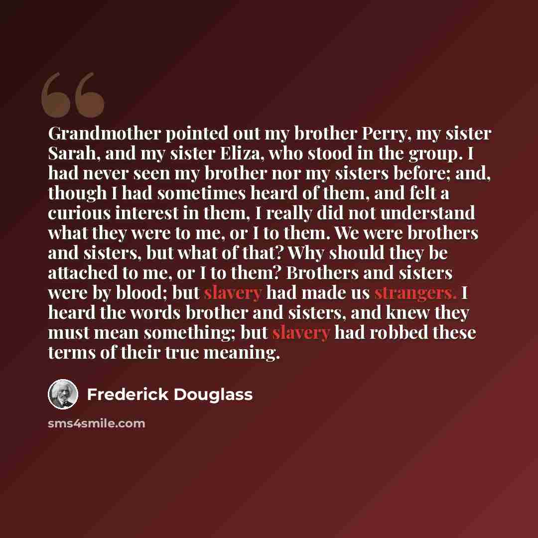 “Grandmother pointed out my brother Perry, my sister Sarah, and my sister Eliza, who stood in the group. I had never seen my brother nor my sisters before; and, though I had sometimes heard of them, and felt a curious interest in them, I really did not understand what they were to me, or I to them…” quote by Frederick Douglass