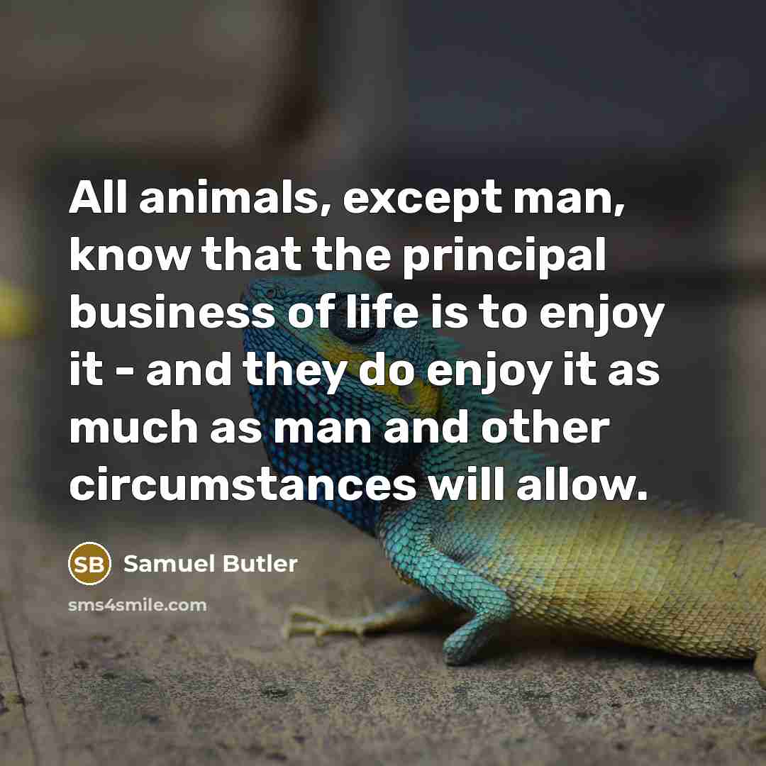 “All animals, except man, know that the principal business of life is to enjoy it - and they do enjoy it as much as man and other circumstances will allow.” quote by Samuel Butler