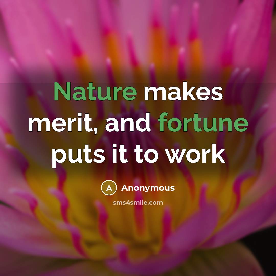 “Nature makes merit, and fortune puts it to work” quote by Anonymous