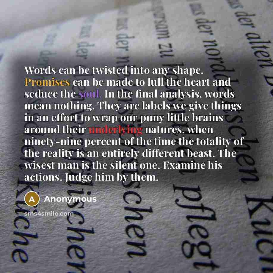 “Words can be twisted into any shape. Promises can be made to lull the heart and seduce the soul. In the final analysis, words mean nothing. They are labels we give things in an effort to wrap our puny little brains around their underlying natures, when ninety-nine percent of the time the totality…” quote by Anonymous