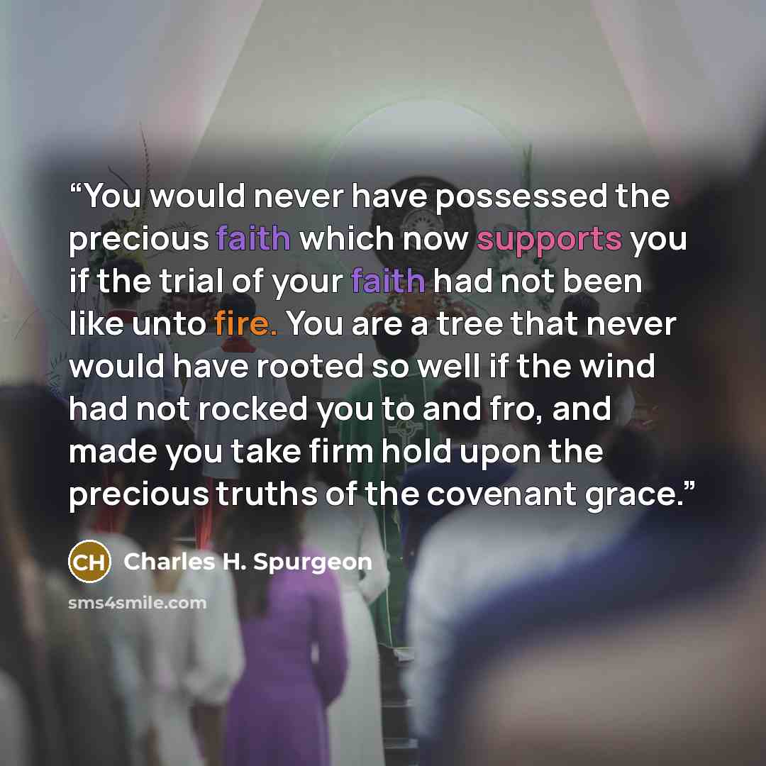 “You would never have possessed the precious faith which now supports you if the trial of your faith had not been like unto fire. You are a tree that never would have rooted so well if the wind had not rocked you to and fro, and made you take firm hold upon the precious truths of the covenant grace.” quote by Charles H. Spurgeon
