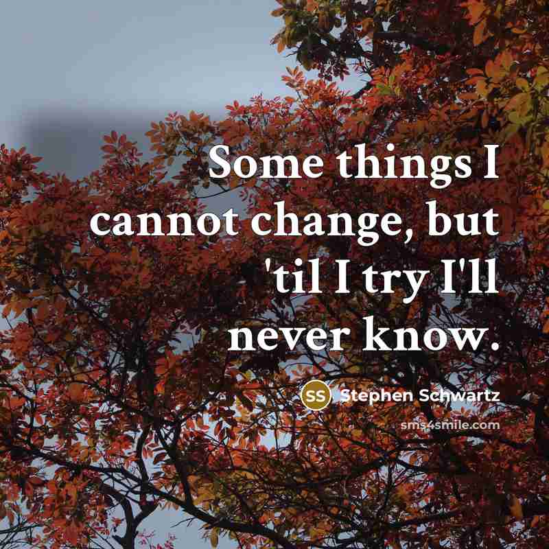 “Some things I cannot change, but 'til I try I'll never know.” quote by Stephen Schwartz