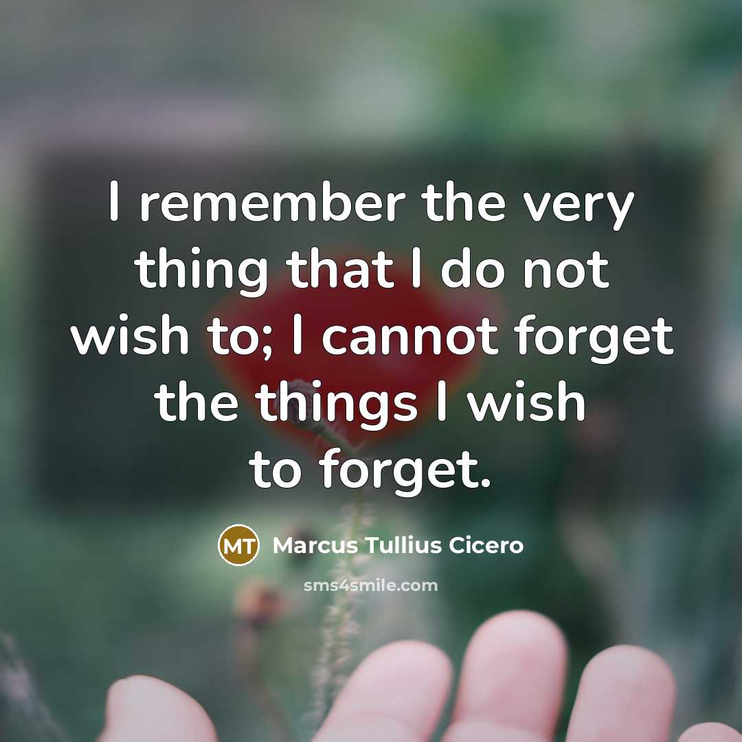 “I remember the very thing that I do not wish to; I cannot forget the things I wish to forget.” quote by Marcus Tullius Cicero