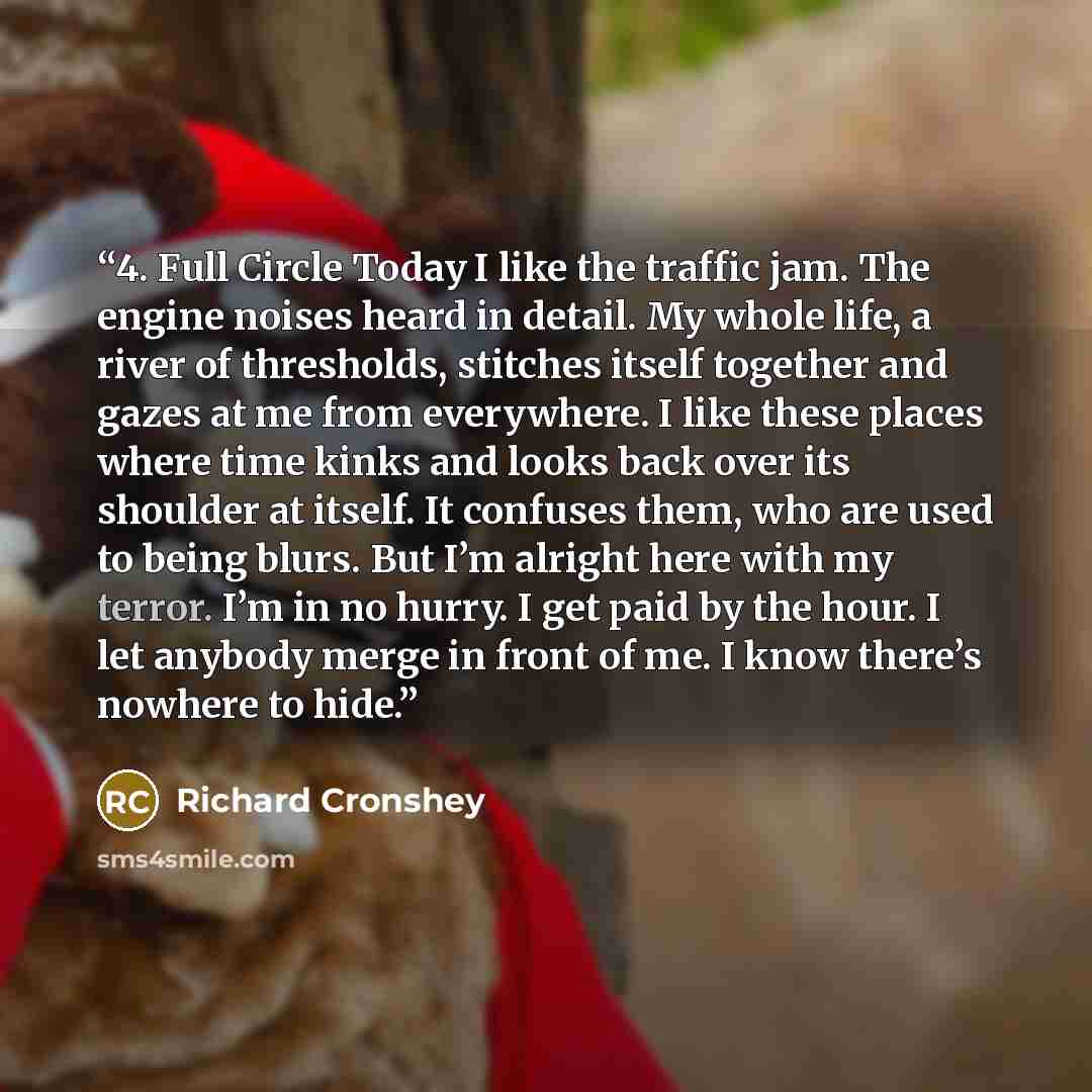 “4. Full Circle Today I like the traffic jam. The engine noises heard in detail. My whole life, a river of thresholds, stitches itself together and gazes at me from everywhere. I like these places where time kinks and looks back over its shoulder at itself. It confuses them, who are used to being…” quote by Richard Cronshey