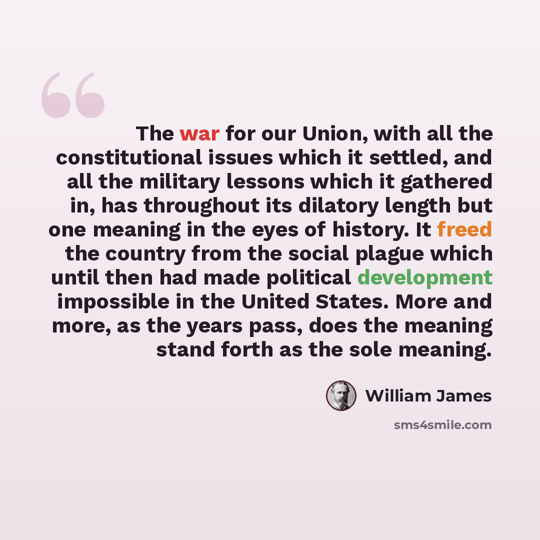 “The war for our Union, with all the constitutional issues which it settled, and all the military lessons which it gathered in, has throughout its dilatory length but one meaning in the eyes of history. It freed the country from the social plague which until then had made political development…” quote by William James