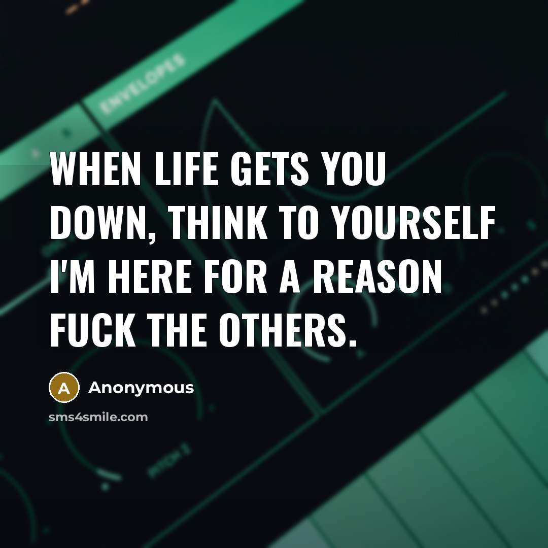 “When life gets you down, think to yourself I'm here for a reason fuck the others.” quote by Anonymous