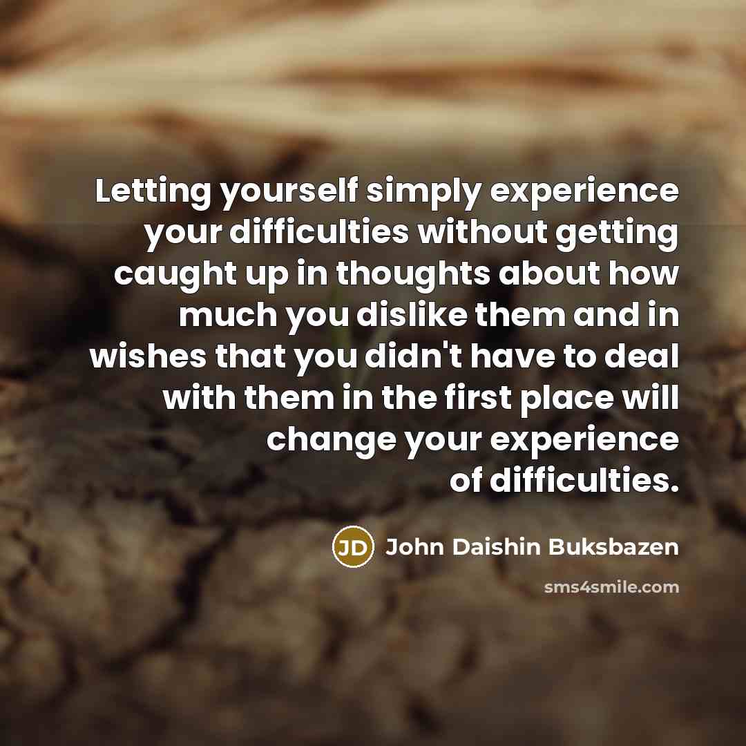 “Letting yourself simply experience your difficulties without getting caught up in thoughts about how much you dislike them and in wishes that you didn't have to deal with them in the first place will change your experience of difficulties.” quote by John Daishin Buksbazen