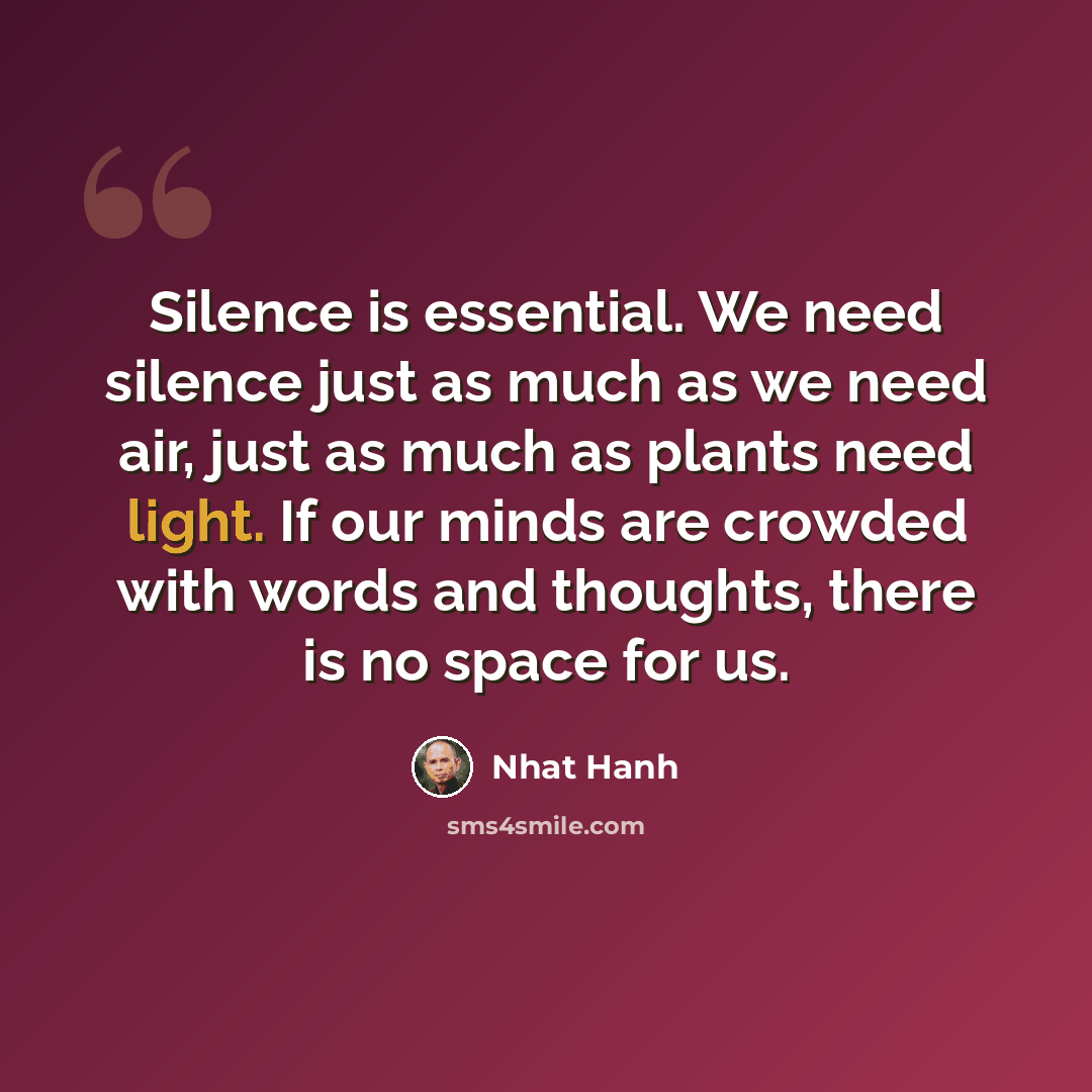 “Silence is essential. We need silence just as much as we need air, just as much as plants need light. If our minds are crowded with words and thoughts, there is no space for us.” quote by Nhat Hanh