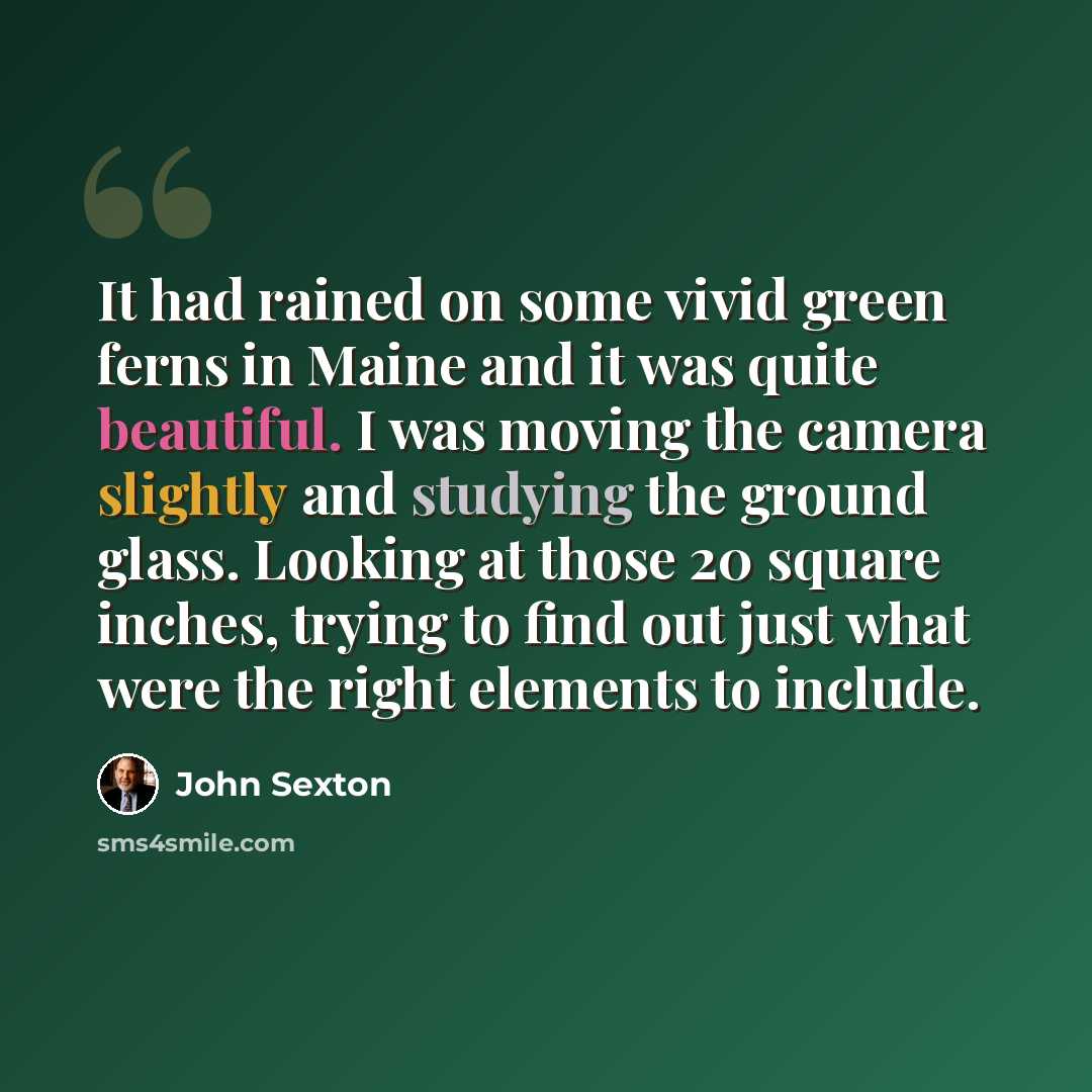 “It had rained on some vivid green ferns in Maine and it was quite beautiful. I was moving the camera slightly and studying the ground glass. Looking at those 20 square inches, trying to find out just what were the right elements to include.” quote by John Sexton