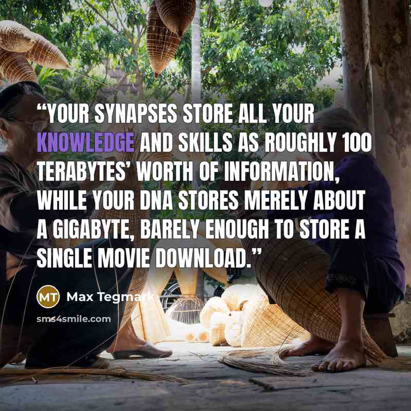“Your synapses store all your knowledge and skills as roughly 100 terabytes’ worth of information, while your DNA stores merely about a gigabyte, barely enough to store a single movie download.” quote by Max Tegmark