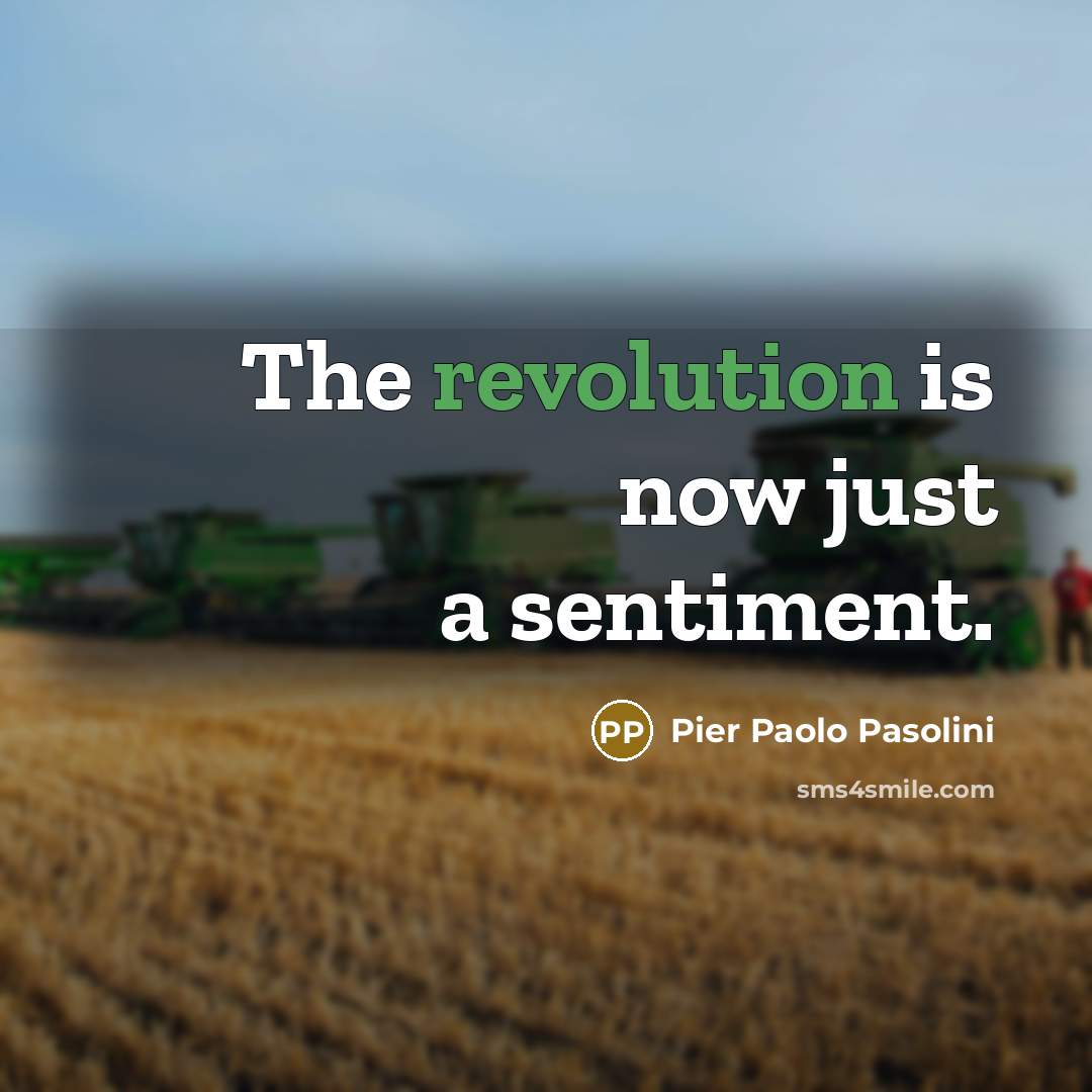 “The revolution is now just a sentiment.” quote by Pier Paolo Pasolini