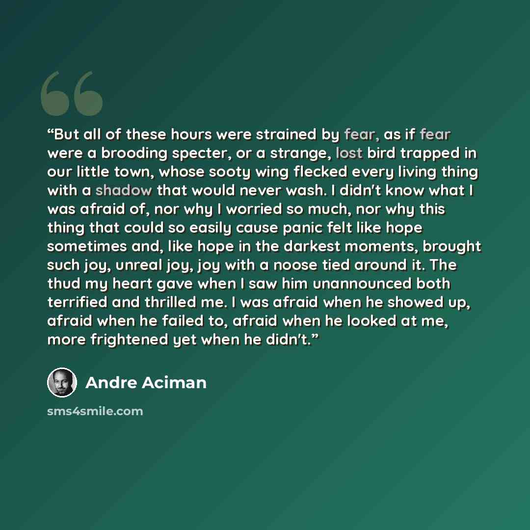 “But all of these hours were strained by fear, as if fear were a brooding specter, or a strange, lost bird trapped in our little town, whose sooty wing flecked every living thing with a shadow that would never wash. I didn't know what I was afraid of, nor why I worried so much, nor why this thing…” quote by André Aciman