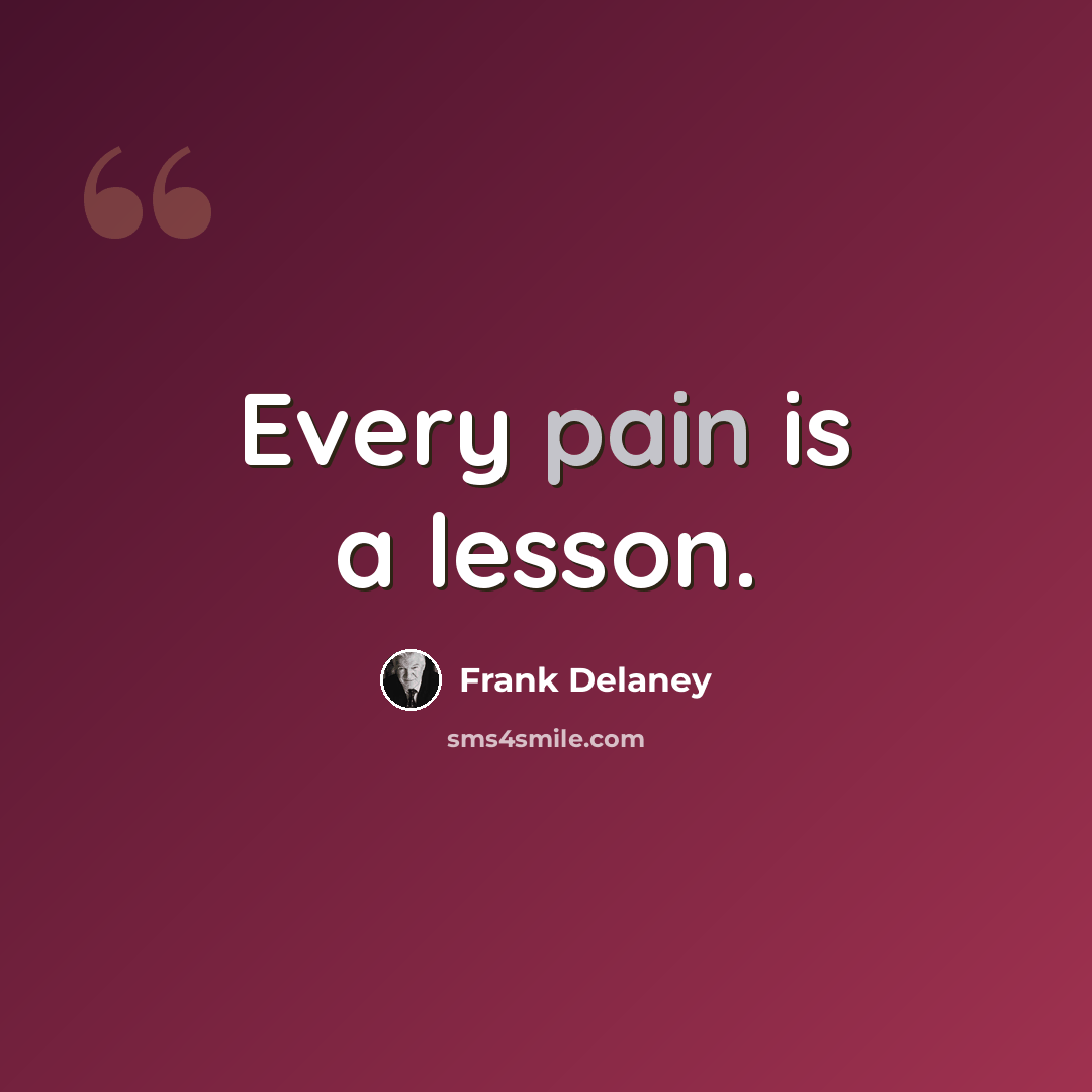 “Every pain is a lesson.” quote by Frank Delaney