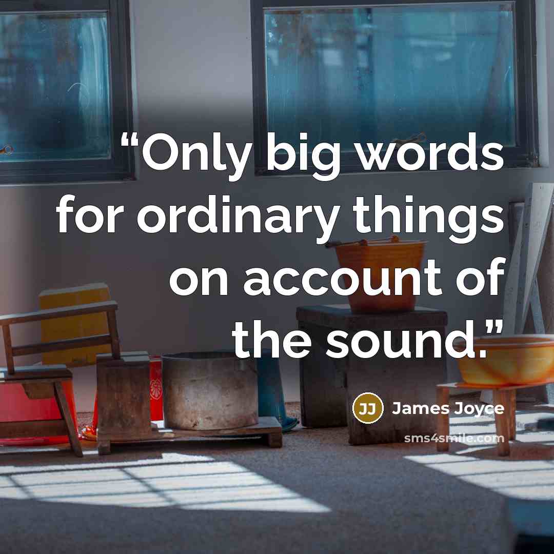 “Only big words for ordinary things on account of the sound.” quote by James Joyce