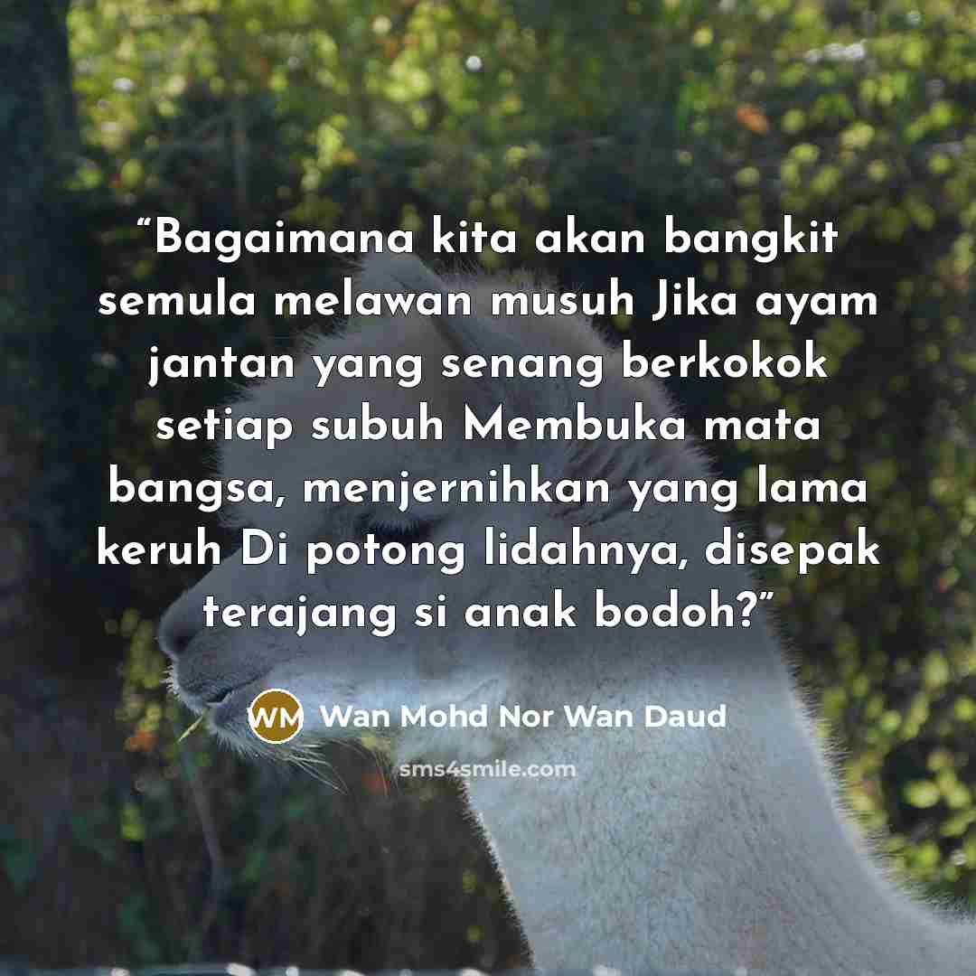 “Bagaimana kita akan bangkit semula melawan musuh Jika ayam jantan yang senang berkokok setiap subuh Membuka mata bangsa, menjernihkan yang lama keruh Di potong lidahnya, disepak terajang si anak bodoh?” quote by Wan Mohd Nor Wan Daud