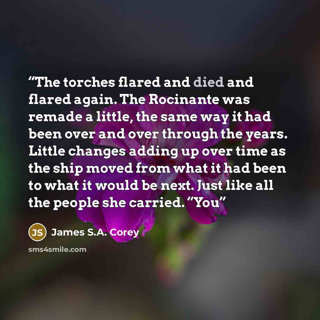 “The torches flared and died and flared again. The Rocinante was remade a little, the same way it had been over and over through the years. Little changes adding up over time as the ship moved from what it had been to what it would be next. Just like all the people she carried. “You” quote by James S.A. Corey