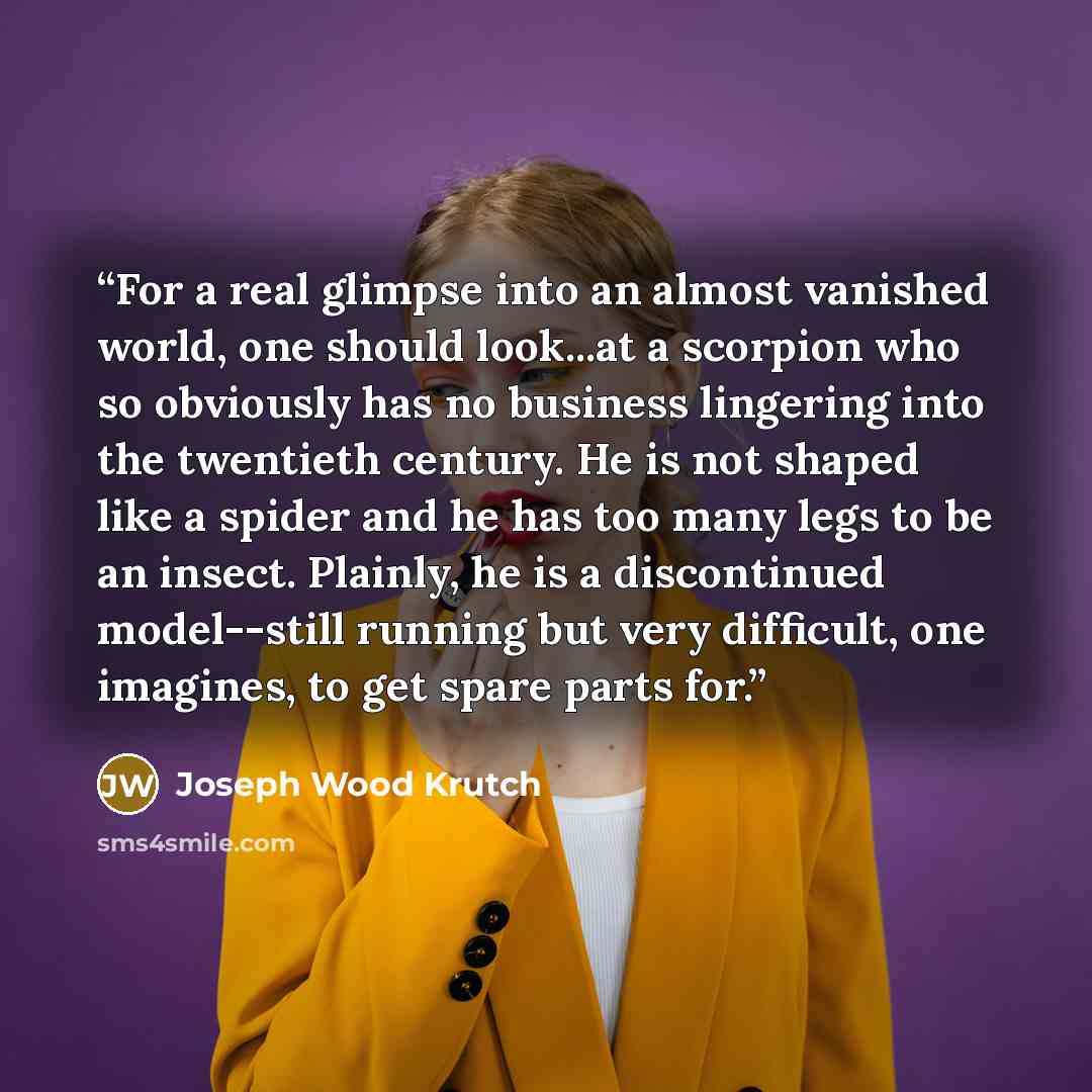 “For a real glimpse into an almost vanished world, one should look...at a scorpion who so obviously has no business lingering into the twentieth century. He is not shaped like a spider and he has too many legs to be an insect. Plainly, he is a discontinued model--still running but very difficult…” quote by Joseph Wood Krutch