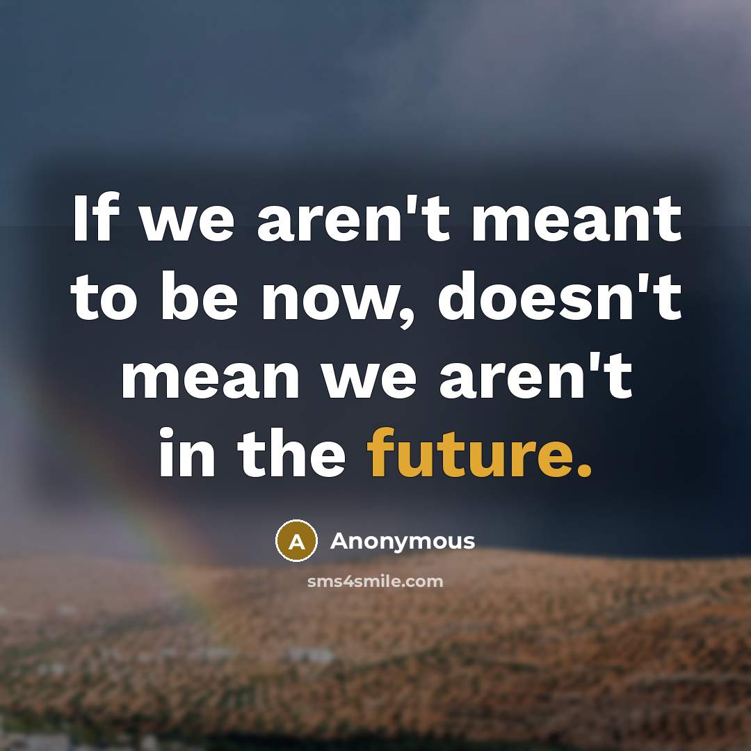 “If we aren't meant to be now, doesn't mean we aren't in the future.” quote by Anonymous