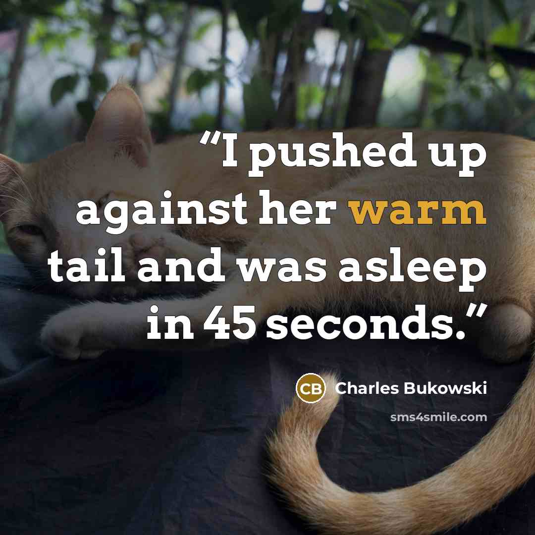 “I pushed up against her warm tail and was asleep in 45 seconds.” quote by Charles Bukowski