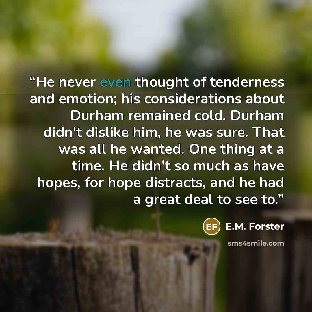 “He never even thought of tenderness and emotion; his considerations about Durham remained cold. Durham didn't dislike him, he was sure. That was all he wanted. One thing at a time. He didn't so much as have hopes, for hope distracts, and he had a great deal to see to.” quote by E.M. Forster