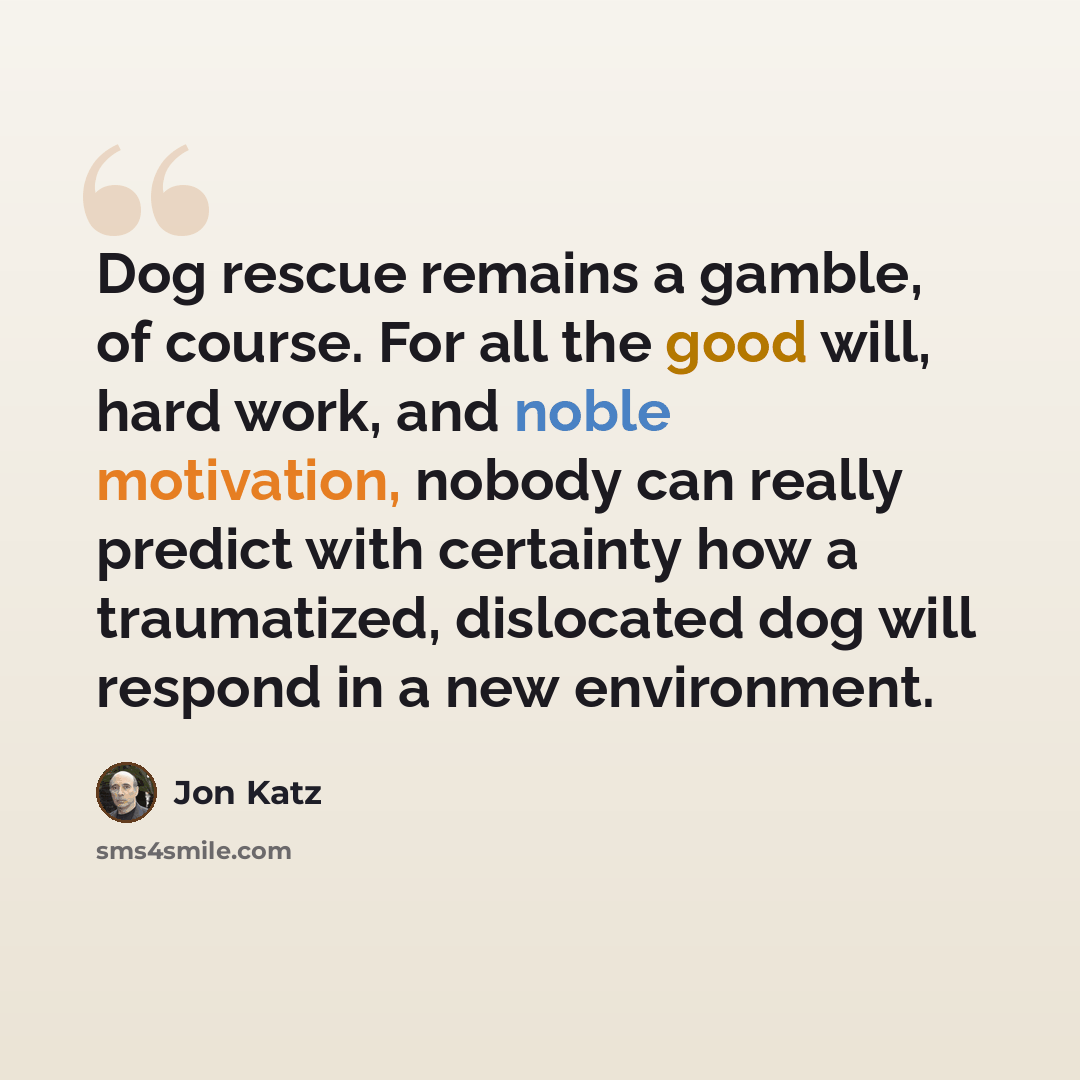 “Dog rescue remains a gamble, of course. For all the good will, hard work, and noble motivation, nobody can really predict with certainty how a traumatized, dislocated dog will respond in a new environment.” quote by Jon Katz