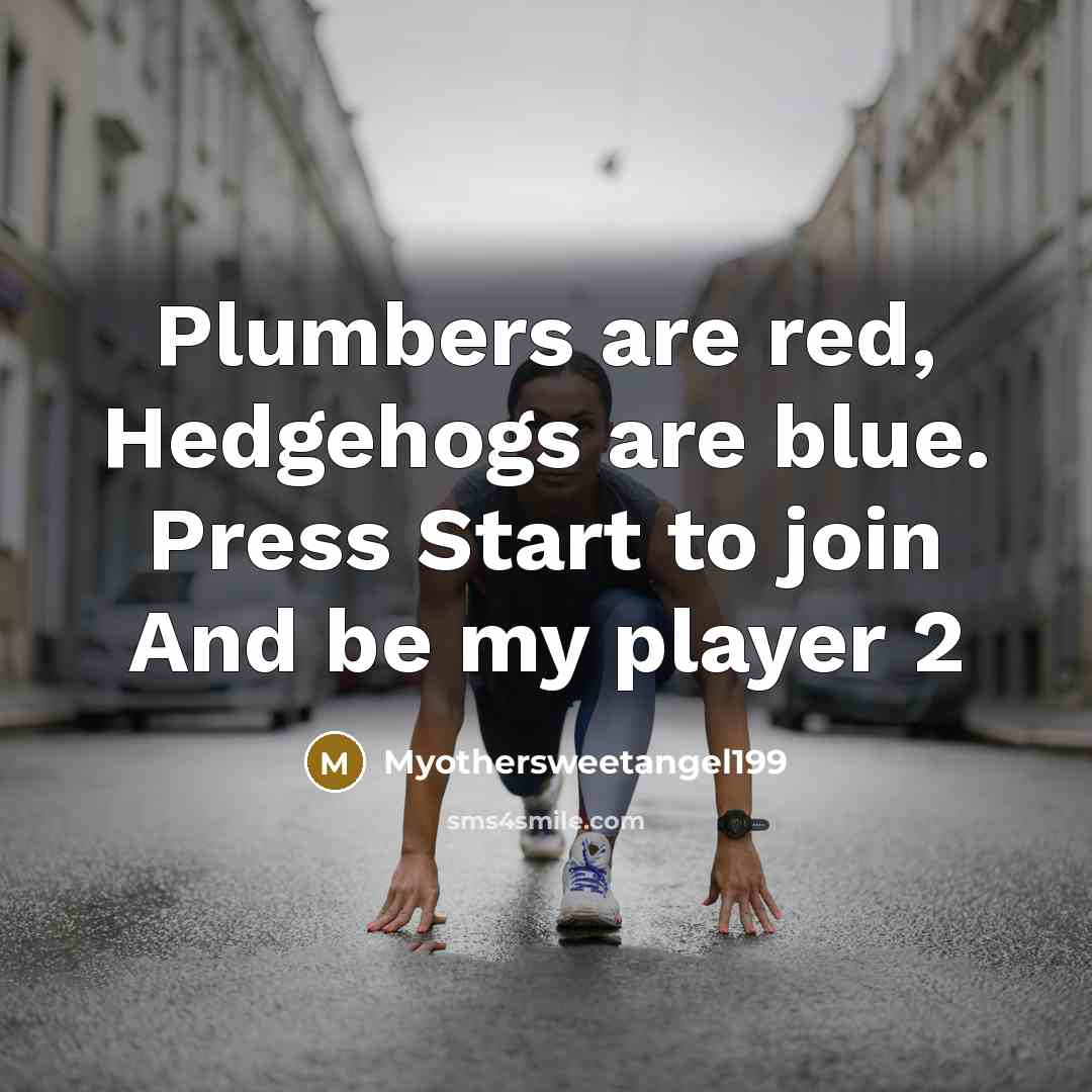 “Plumbers are red, Hedgehogs are blue. Press Start to join And be my player 2” quote by Myothersweetangel199
