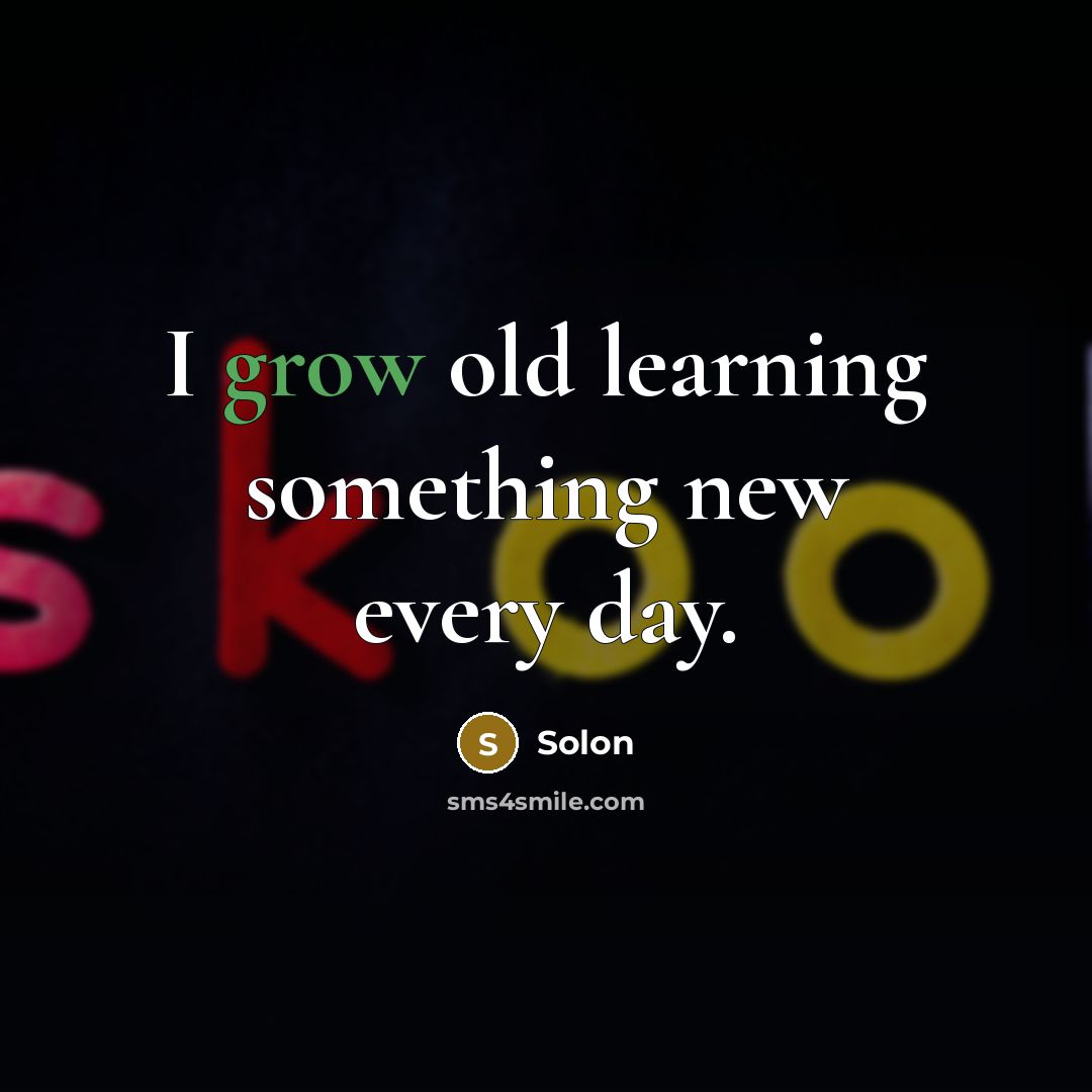 “I grow old learning something new every day.” quote by Solon