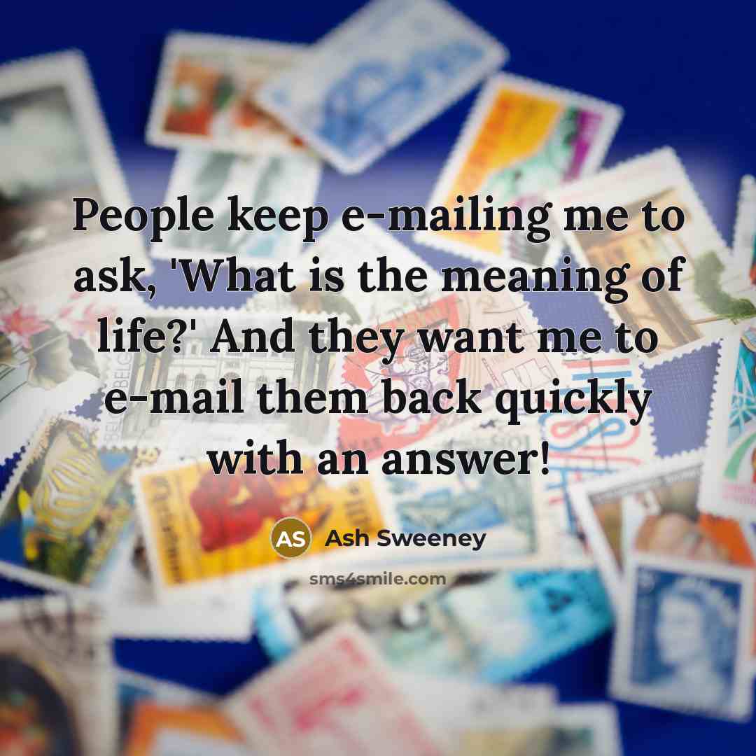 “People keep e-mailing me to ask, 'What is the meaning of life?' And they want me to e-mail them back quickly with an answer!” quote by Ash Sweeney