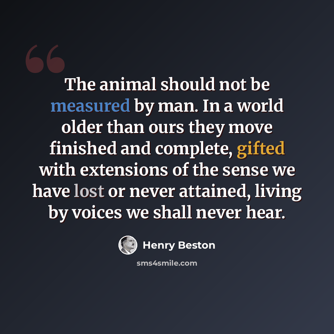 “The animal should not be measured by man. In a world older than ours they move finished and complete, gifted with extensions of the sense we have lost or never attained, living by voices we shall never hear.” quote by Henry Beston