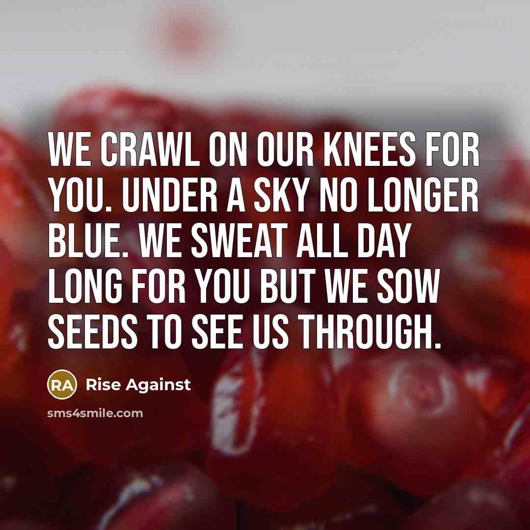 “We crawl on our knees for you. Under a sky no longer blue. We sweat all day long for you but we sow seeds to see us through.” quote by Rise Against