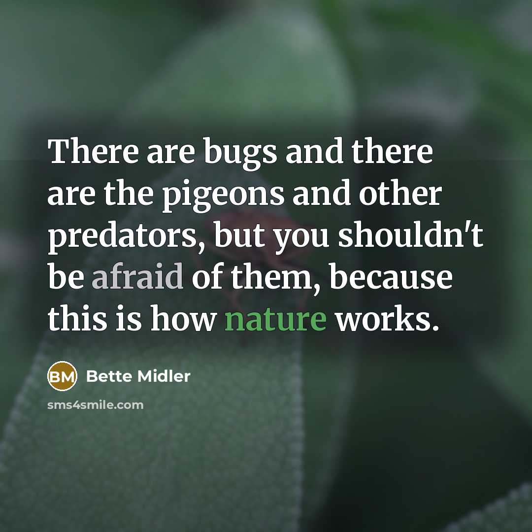 “There are bugs and there are the pigeons and other predators, but you shouldn't be afraid of them, because this is how nature works.” quote by Bette Midler