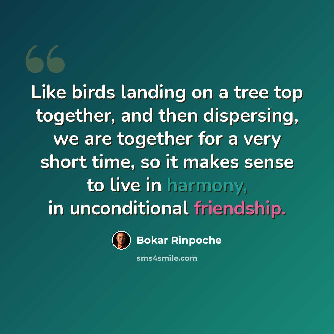 “Like birds landing on a tree top together, and then dispersing, we are together for a very short time, so it makes sense to live in harmony, in unconditional friendship.” quote by Bokar Rinpoche