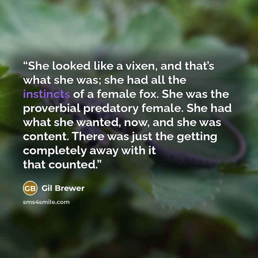 “She looked like a vixen, and that’s what she was; she had all the instincts of a female fox. She was the proverbial predatory female. She had what she wanted, now, and she was content. There was just the getting completely away with it that counted.” quote by Gil Brewer