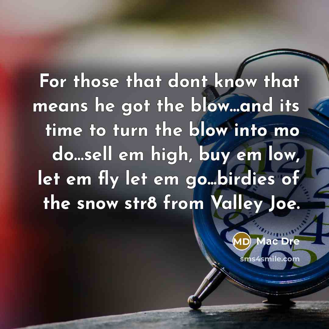 “For those that dont know that means he got the blow…and its time to turn the blow into mo do…sell em high, buy em low, let em fly let em go...birdies of the snow str8 from Valley Joe.” quote by Mac Dre