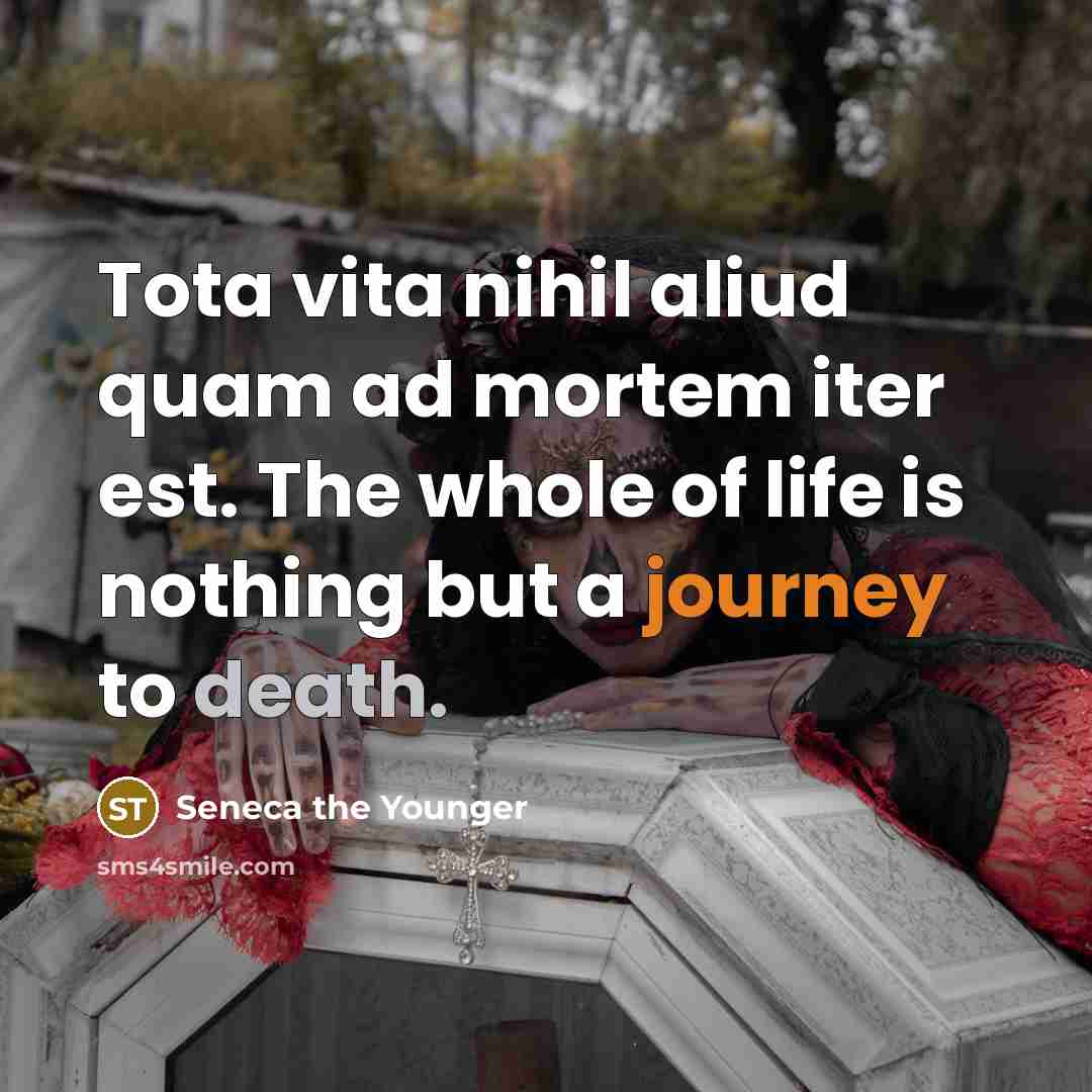 “Tota vita nihil aliud quam ad mortem iter est. The whole of life is nothing but a journey to death.” quote by Seneca the Younger