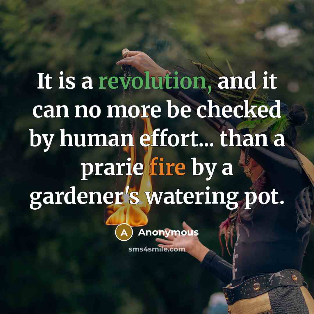 “It is a revolution, and it can no more be checked by human effort... than a prarie fire by a gardener's watering pot.” quote by Anonymous