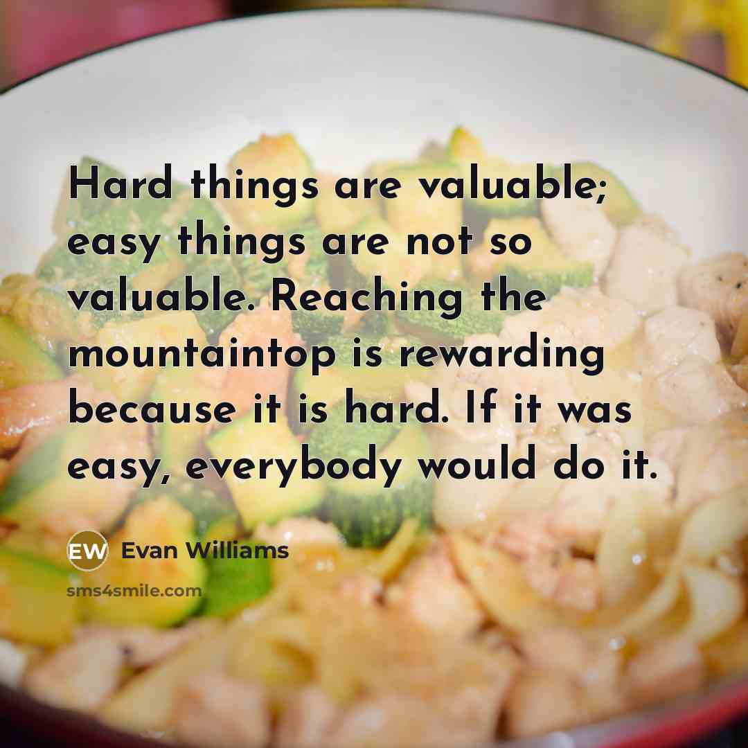 “Hard things are valuable; easy things are not so valuable. Reaching the mountaintop is rewarding because it is hard. If it was easy, everybody would do it.” quote by Evan Williams