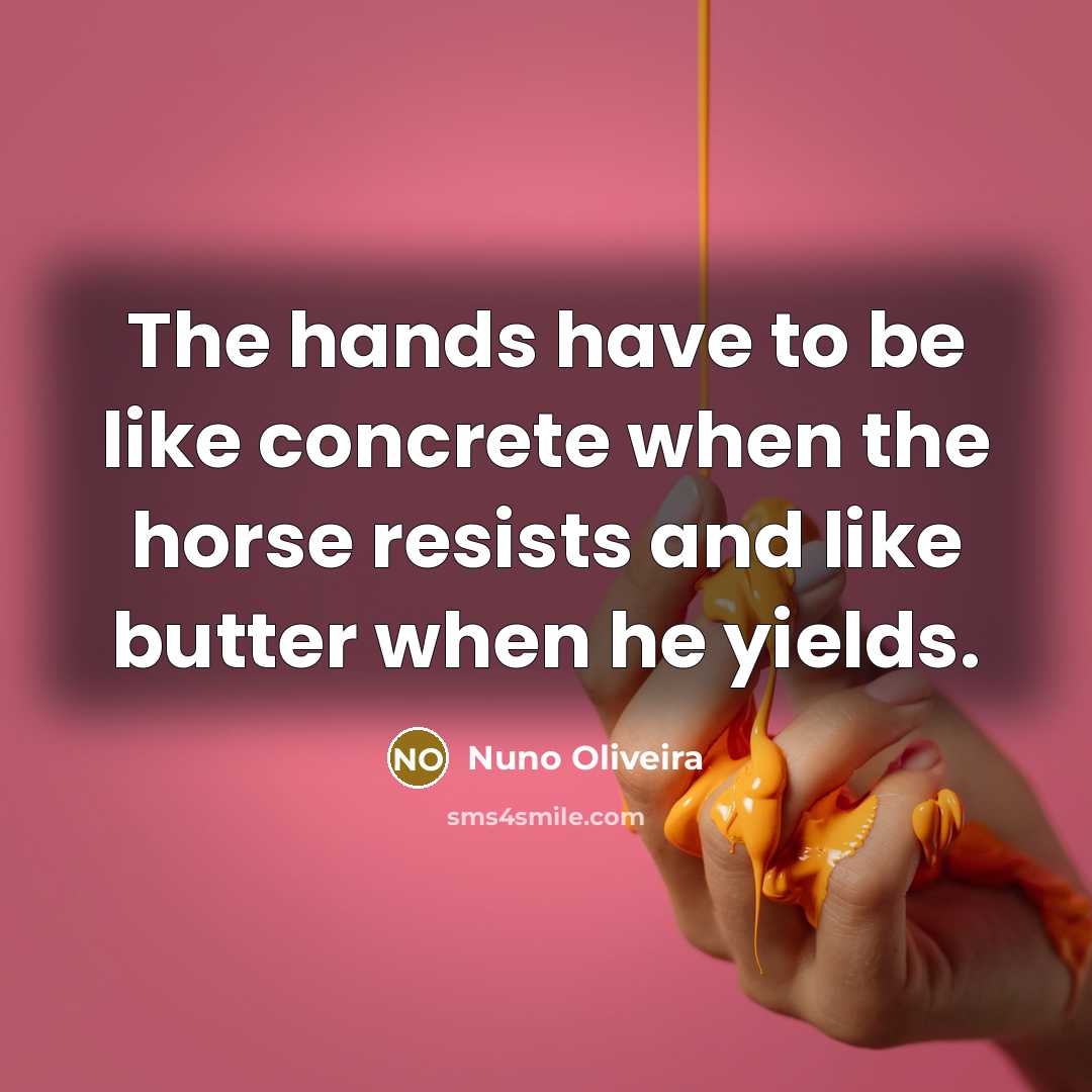 “The hands have to be like concrete when the horse resists and like butter when he yields.” quote by Nuno Oliveira