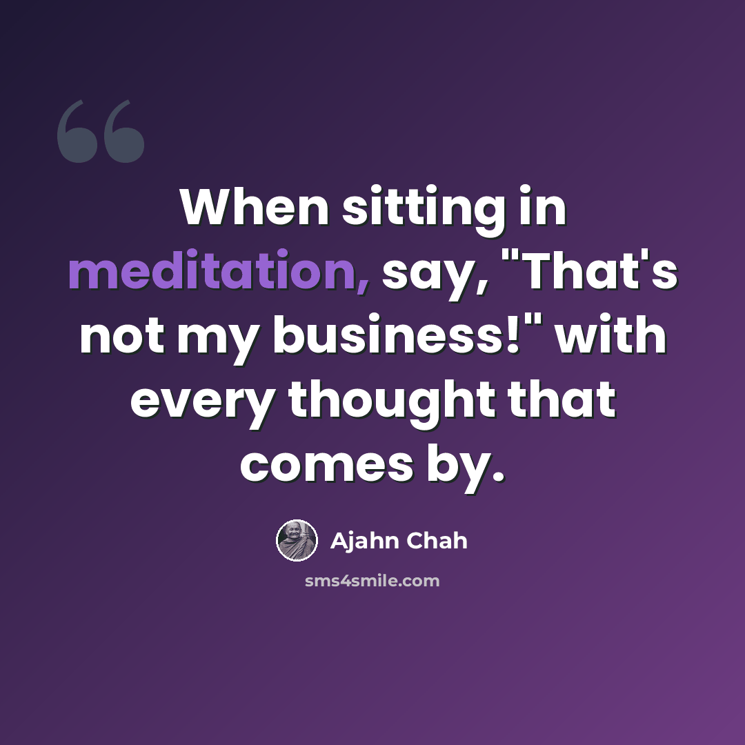 “When sitting in meditation, say, "That's not my business!" with every thought that comes by.” quote by Ajahn Chah