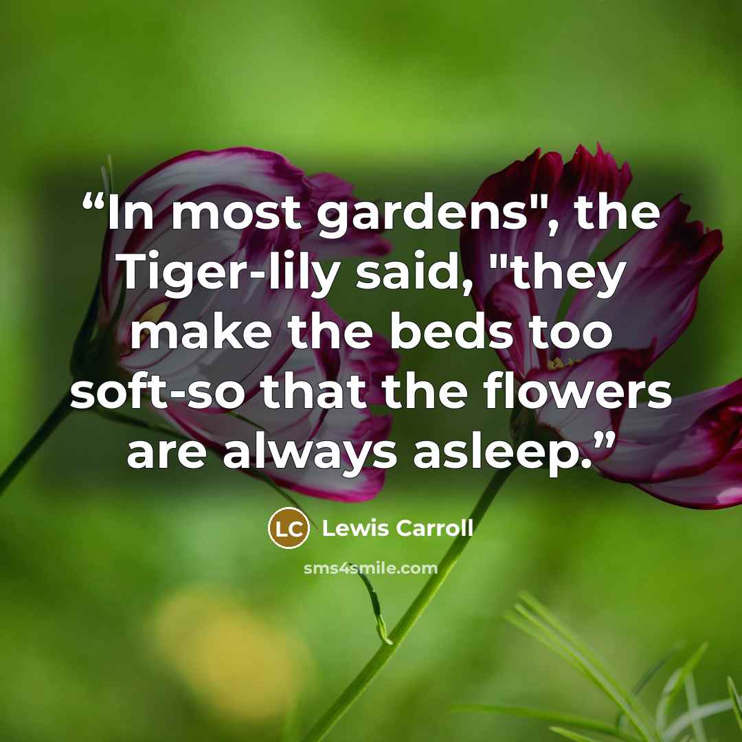 “In most gardens", the Tiger-lily said, "they make the beds too soft-so that the flowers are always asleep.” quote by Lewis Carroll