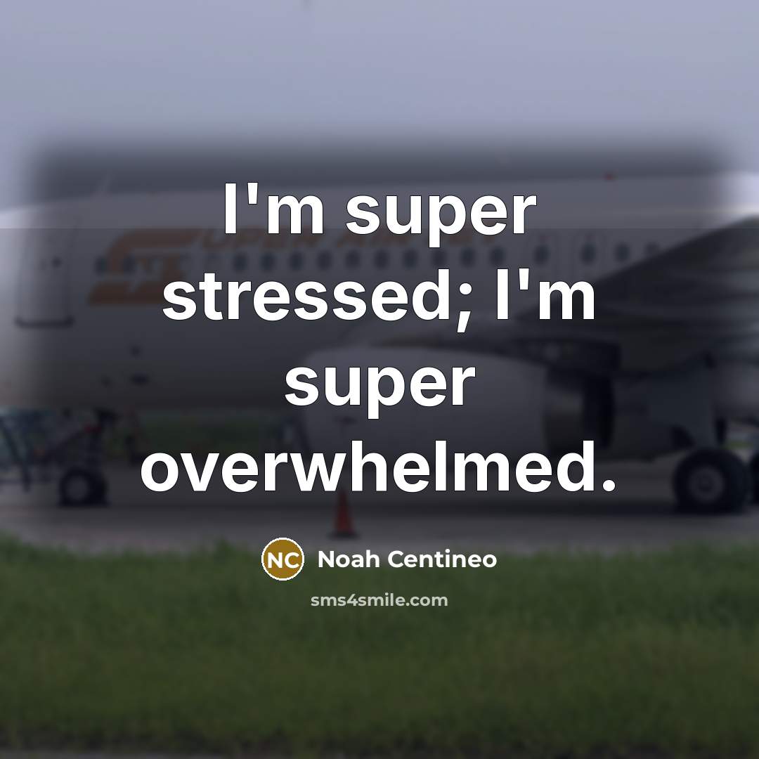 “I'm super stressed; I'm super overwhelmed.” quote by Noah Centineo