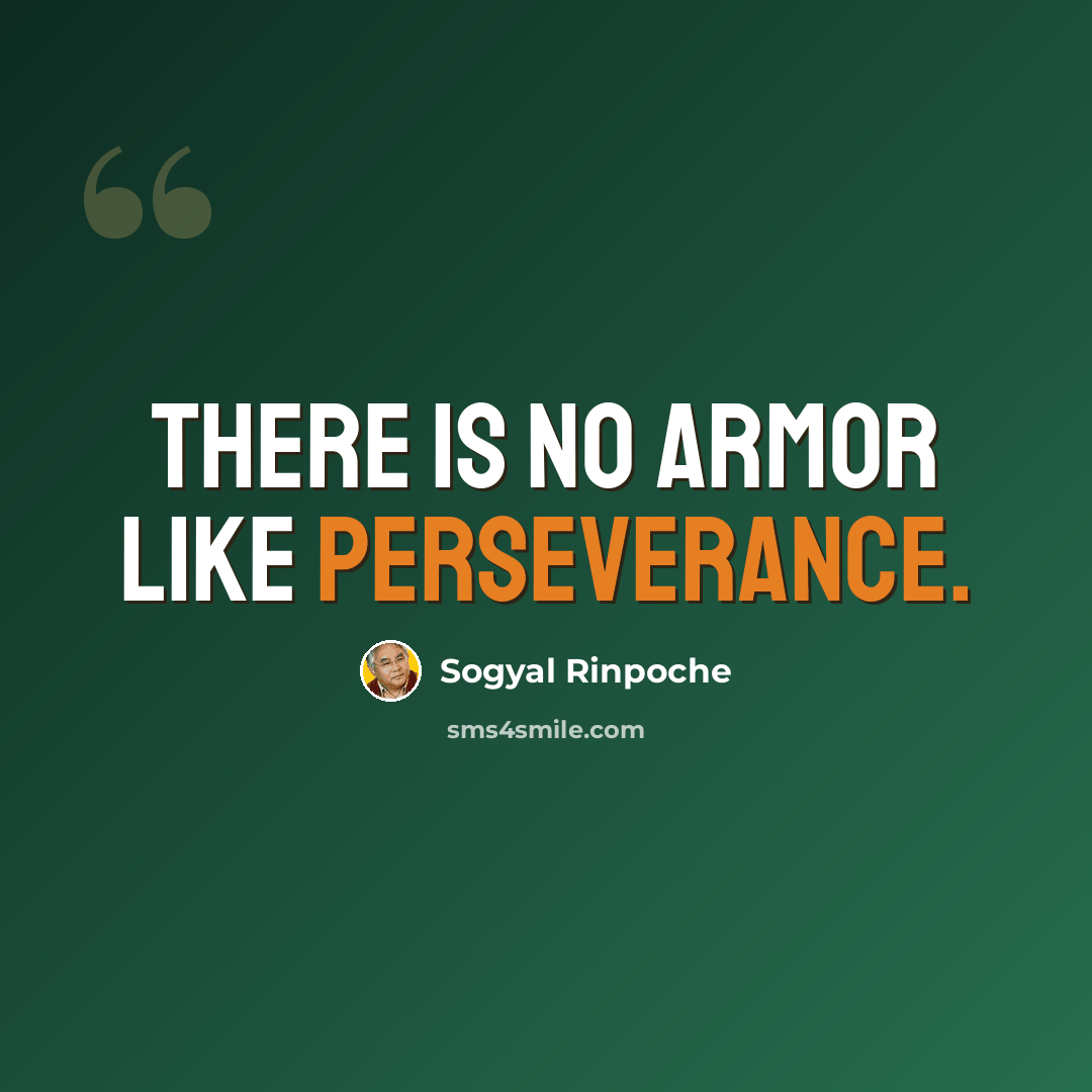 “There is no armor like perseverance.” quote by Sogyal Rinpoche