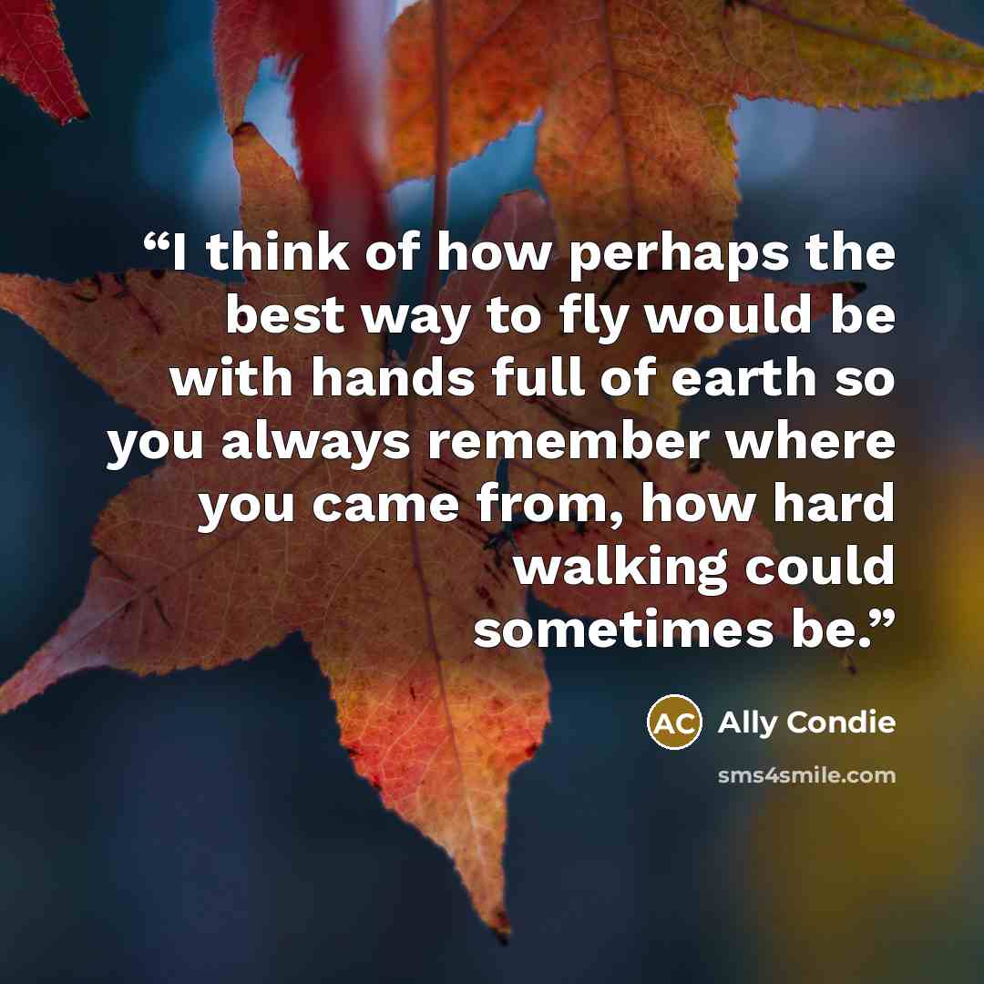 “I think of how perhaps the best way to fly would be with hands full of earth so you always remember where you came from, how hard walking could sometimes be.” quote by Ally Condie
