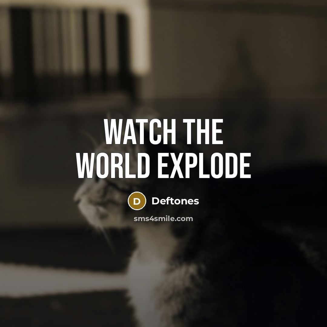 “Watch the world explode” quote by Deftones