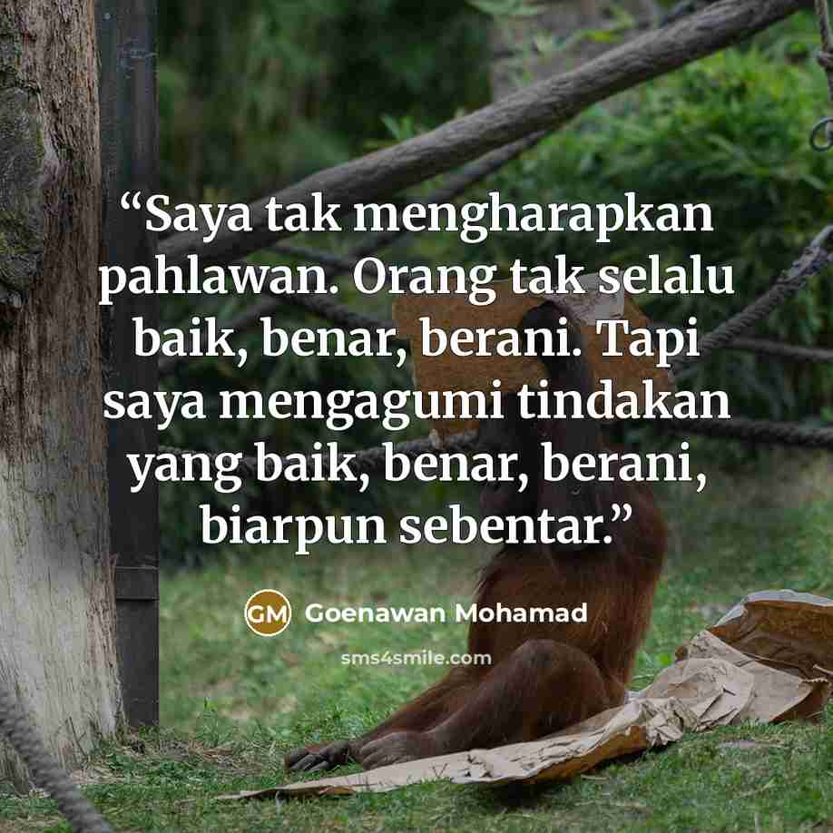 “Saya tak mengharapkan pahlawan. Orang tak selalu baik, benar, berani. Tapi saya mengagumi tindakan yang baik, benar, berani, biarpun sebentar.” quote by Goenawan Mohamad